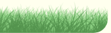 simple steel panels provide barrier and protect plant