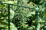 see a garden defender get built