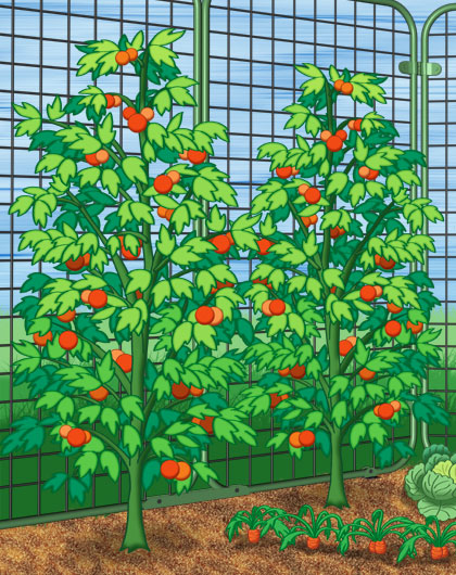 inexpensive cheap affordable effective veggie garden guard