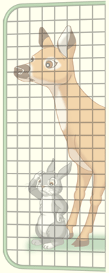 keep deer, rabbit out of your garden